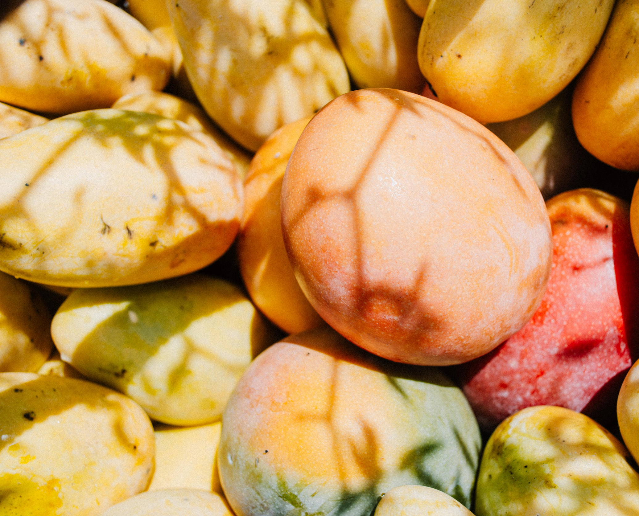 Le sourcing des mangues