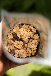 Plat lyophilisé sucré BIO x10 - GRANOLA Chocolat / Noisettes