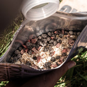 Plat lyophilisé sucré BIO x10 - PORRIDGE Myrtilles/Fraises