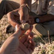 Houmous pois chiches bio x10