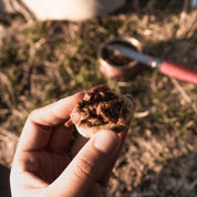 Émietté tomates bio x10