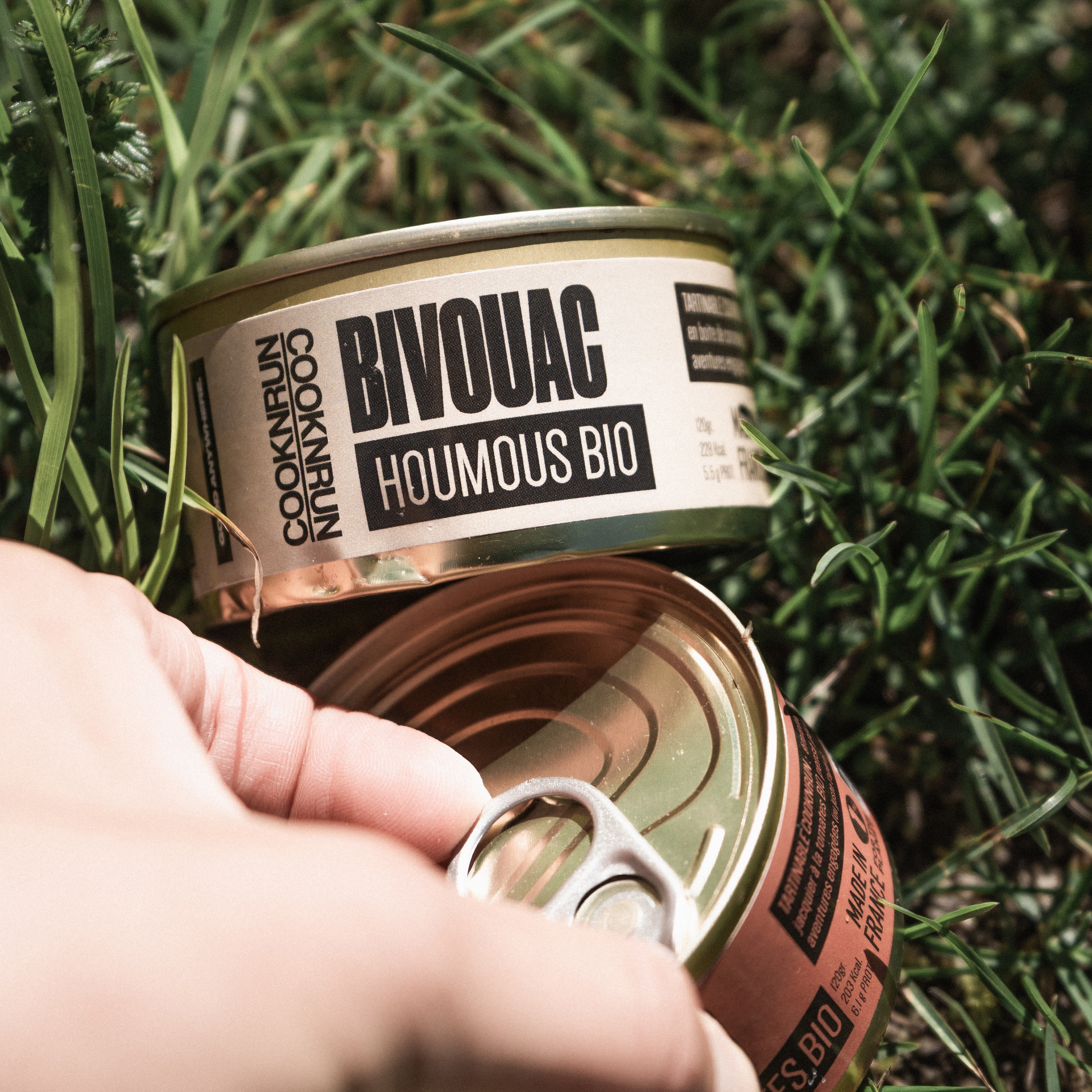 Émietté tomates bio x10